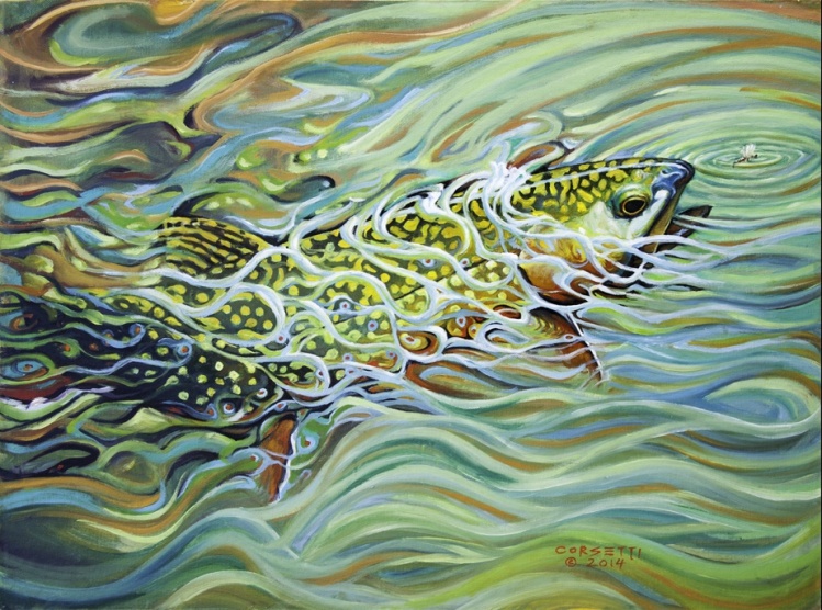A flash of color, the way it hits, more of a feeling then actual seeing, in that split second just before a fish takes your fly you know what it is
<a href="http://robert-corsetti.artistwebsites.com/featured/brookie-flash-rob-corsetti.html">http://robert</a>