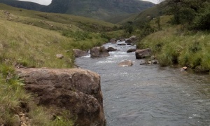 Streams and small lakes, KZN Midlands, South Africa