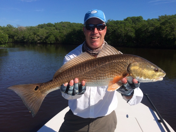 Nice Reddish in the FL Everglades! Last fish of the year until we head back to chase Tarpon in the spring.