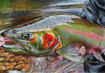 Rosi Oldenburg's Nice Fly-fishing Art Picture – Fly dreamers 