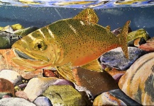 Great Fly-fishing Art Picture shared by Anthony Perpignano – Fly dreamers