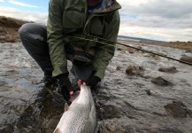Reggie White 's Fly-fishing Picture of a Rainbow trout – Fly dreamers 