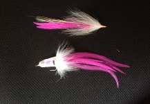 Caio  Junqueira 's Fly-tying for Bonito - Picture – Fly dreamers 