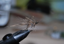 Fly-tying for Chub - Pic by Nume Prenume 