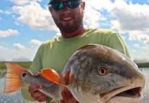 Fly-fishing Pic of Redfish shared by Mark Nutting – Fly dreamers 