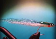 Great Fly-tying Picture by Fabio Gasperoni 