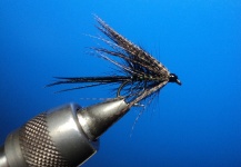 Paddy Keenan 's Fly for Brown trout -  Photo – Fly dreamers 