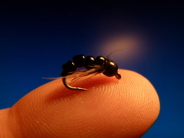 Virus Larva Midge (Black)