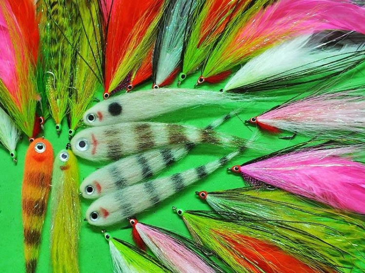 A few favorite patterns shared by Peacock Bass hunter Ariel Goldman. Read about his latest Amazon adventure on Fly dreamers or at blog.thomasandthomas.com