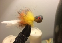 Good Fly-tying Picture shared by Wes Phillips – Fly dreamers