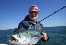 Howard Gaber 's Fly-fishing Pic of a False Albacore - Little Tunny – Fly dreamers 