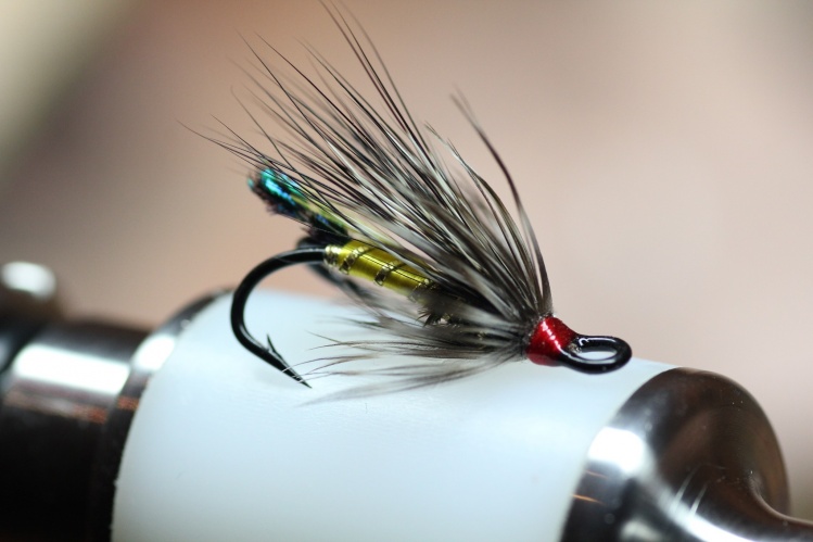 Salmon flies