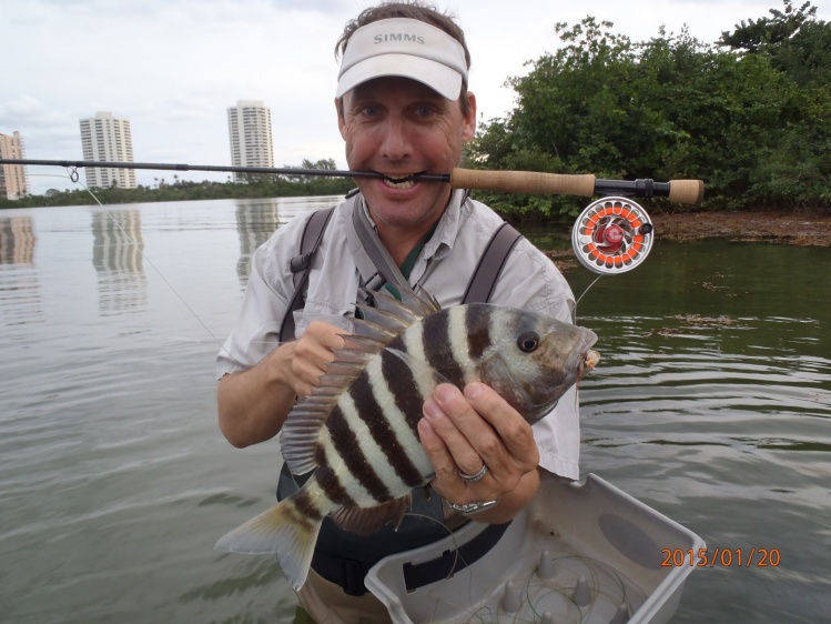 #4...Sheepshead surprise...only third i have ever caught on fly....goodgood little battle on the Solar