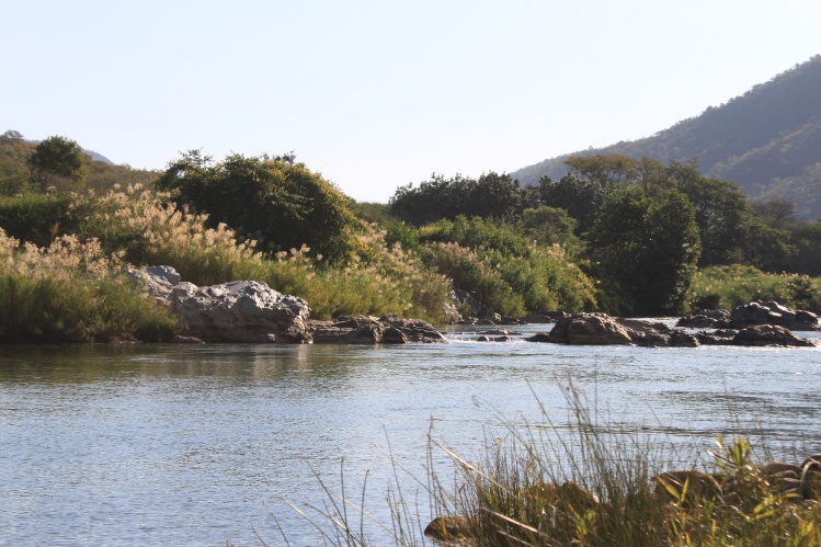 The Pongola River home to some of the finest Smallscale Yellow fishing in South Africa