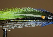 Ariel Garcia Monteavaro 's Fly for Landlocked Salmon -  Photo – Fly dreamers 