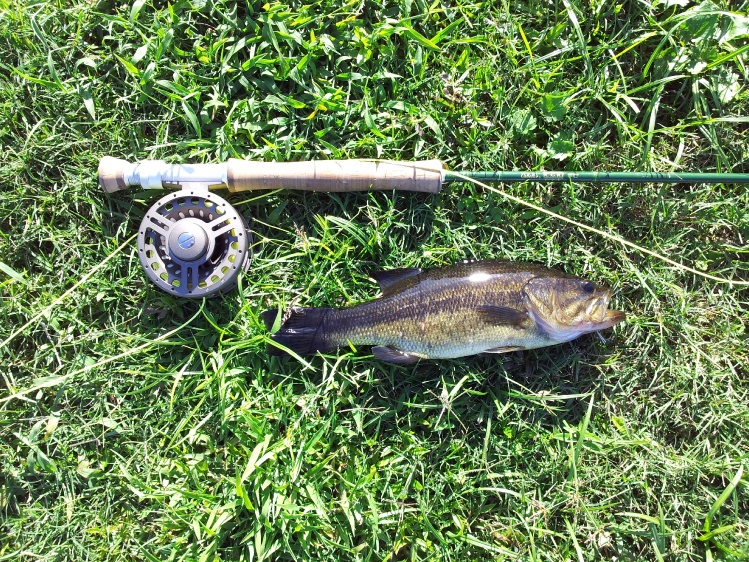 7/8 wt. Cgr fiberglass rod and a green trout. :-)