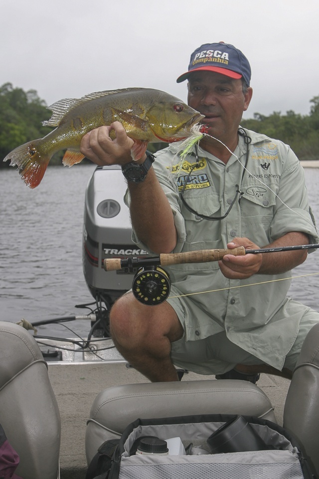 First peacock bass in the Amazon, Araca River 2003 - Photos by Antonio Cremonesi