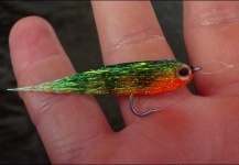 Kuba Hübner 's Fly for Chub - Picture – Fly dreamers 