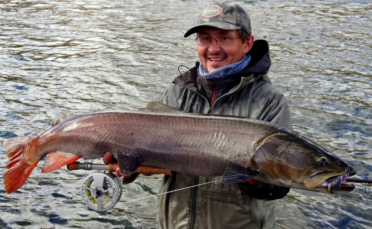 Good trophy-class Taimen of 115 cm on fly for Peter in 2014, an expert flyman from Slovakia.