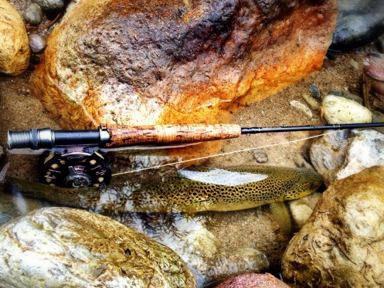 Michele Belvisi 's Fly-fishing Pic of a Brown trout – Fly dreamers