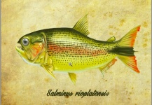 Tito Saenz Rozas's Fly-fishing Art – Fly dreamers 