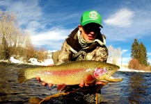 Fly-fishing Pic of Rainbow trout shared by Daniel Macalady – Fly dreamers 