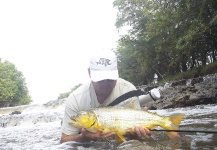 Fly-fishing Picture of Golden Dorado shared by Marcelo Trelles – Fly dreamers