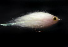 Kuba Hübner 's Fly-tying for Chub - Picture – Fly dreamers 
