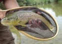 Fly Fishing Italy