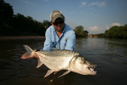 Tigerfish- Tanzania 2012