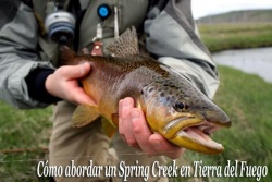 Como abordar un Spring Creek en Tierra del Fuego