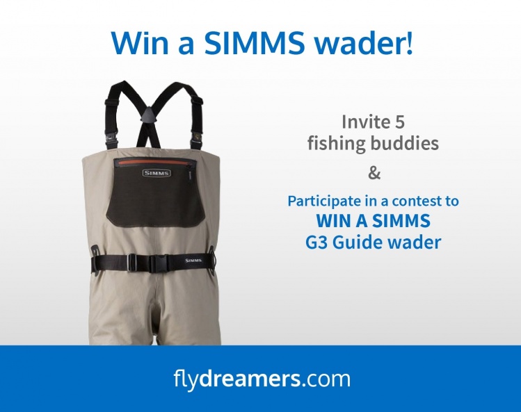 New CONTEST on at Fly dreamers!
 
To participate, click at the waders banner located at the right side of the screen.