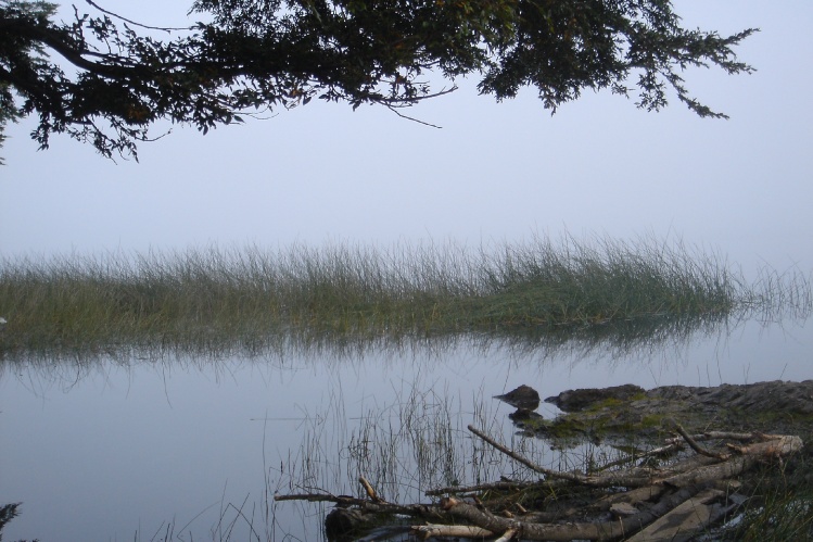 Niebla sobre el lago , calma absoluta