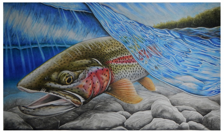 2014 Manitoba Fisheries Enhancement Stamp