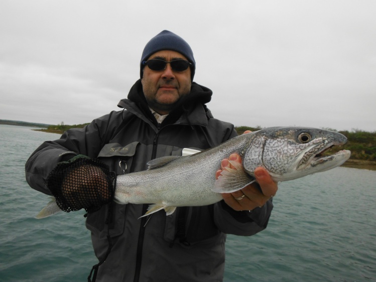 Lake trout on a stripped fly