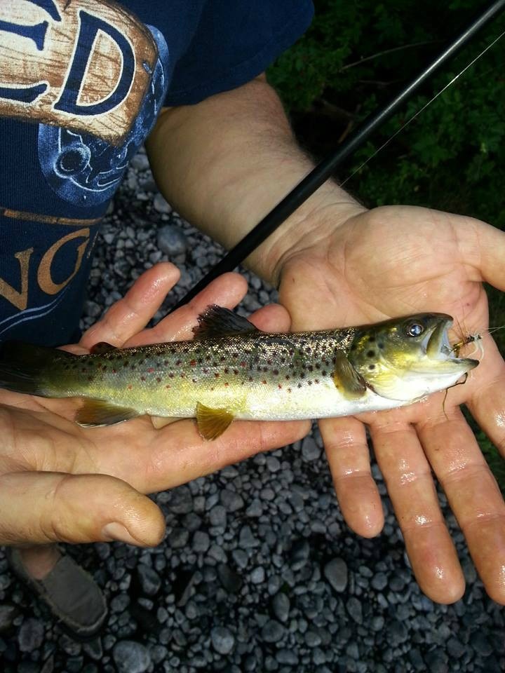 First catch on new flyrod....