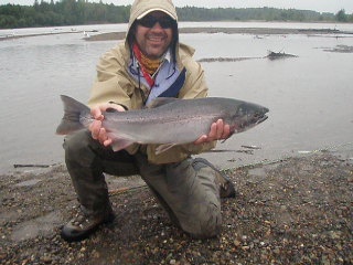 montana creek - silver salmon