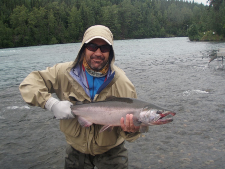 Russian river - silver salmon