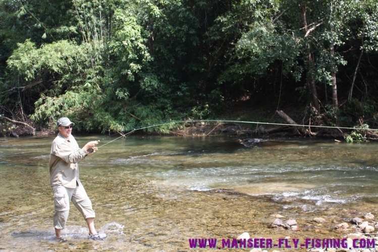 Mahseer strike in a southern Thailand mountain river