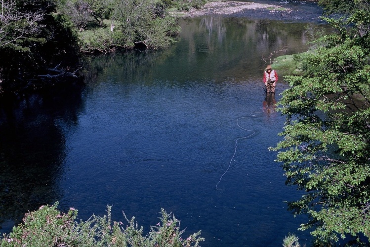 Recuerdos. Jorge Donovan y el arroyo Huacamamuil. Verlo pescar fue un placer inolvidable  y  un aprendizaje.