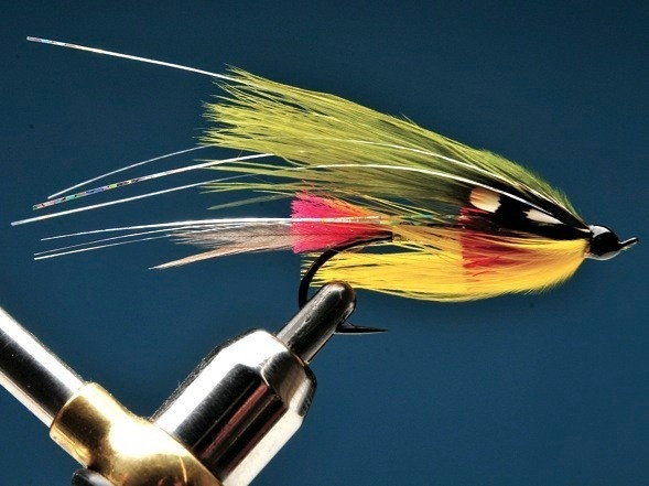 Carnival, with an holografic tinsel hackle for muddy waters