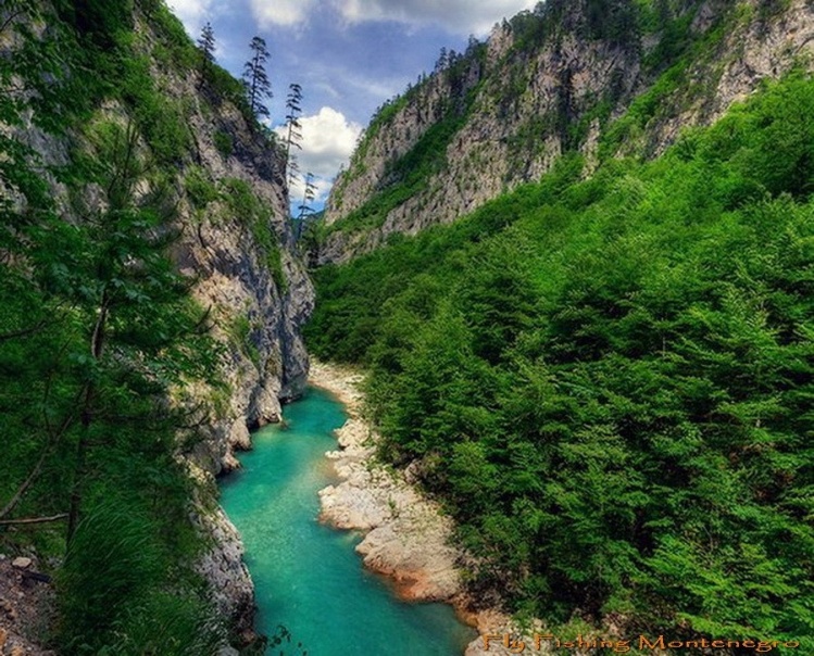 Deep in Tara River Canyon- Europe deepest 
More info makimakarije@gmail.com