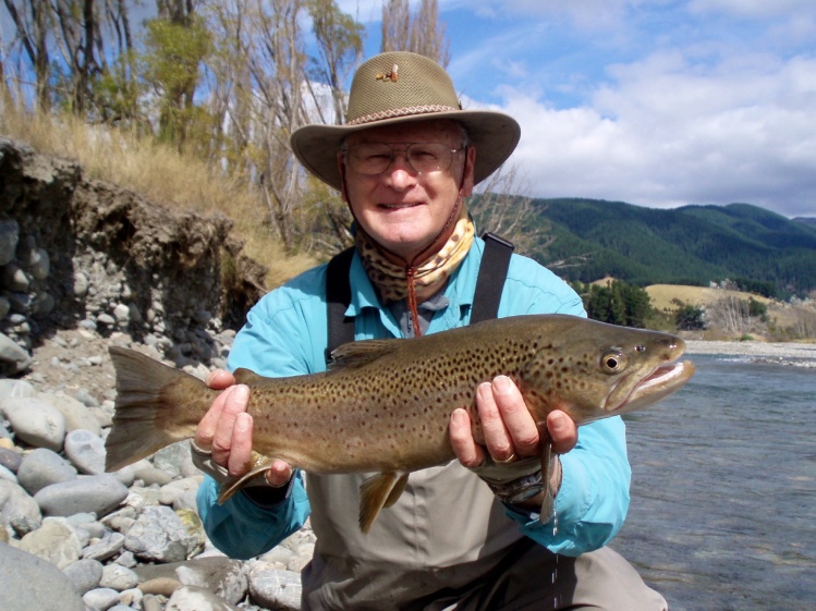 NZ Brown Trout on a Dry fly