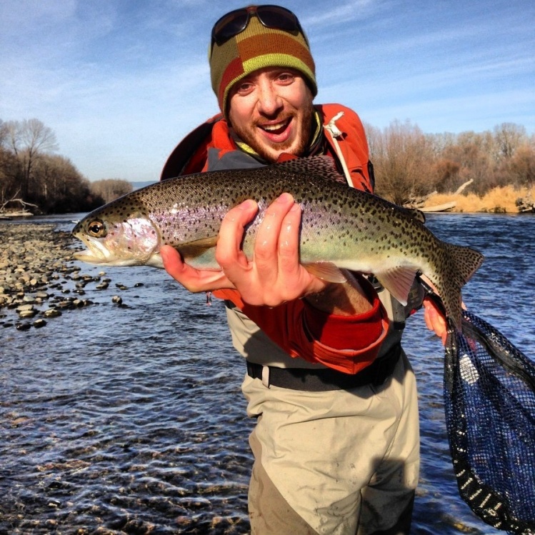 Tyler Steffens 's Fly-fishing Image of a Rainbow trout – Fly dreamers