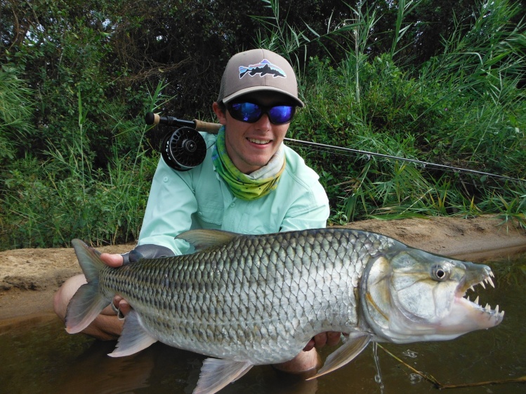 PHOTO OF THE YEAR 2013 CONTEST
9. Fergus Kelley - Tigerfish