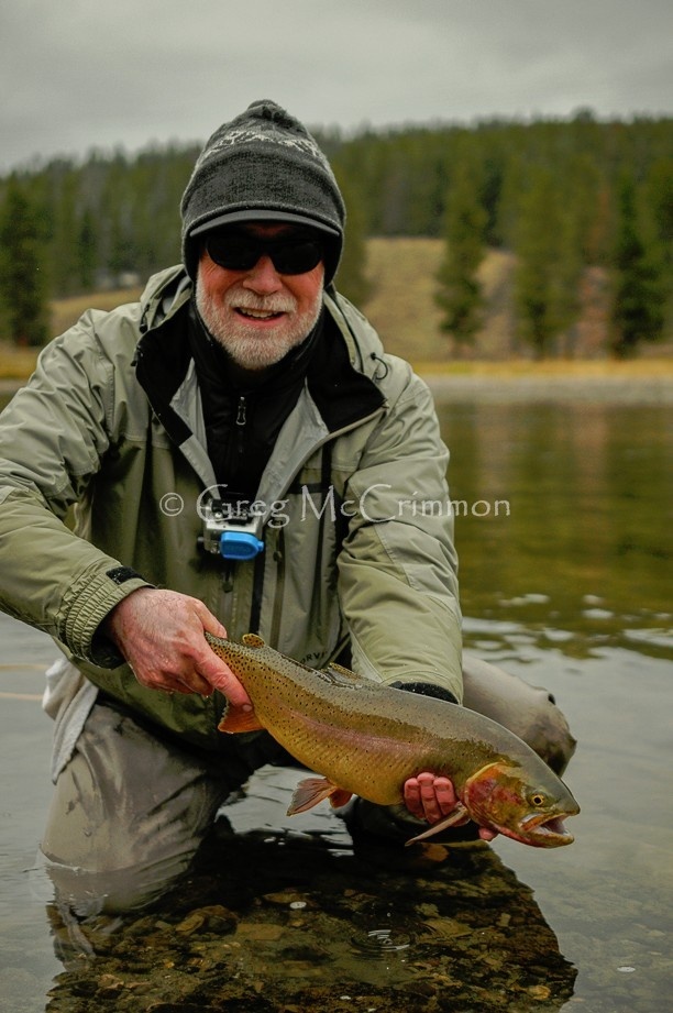 A gorgeous Yellowstone Cutthroat from September, 2013.