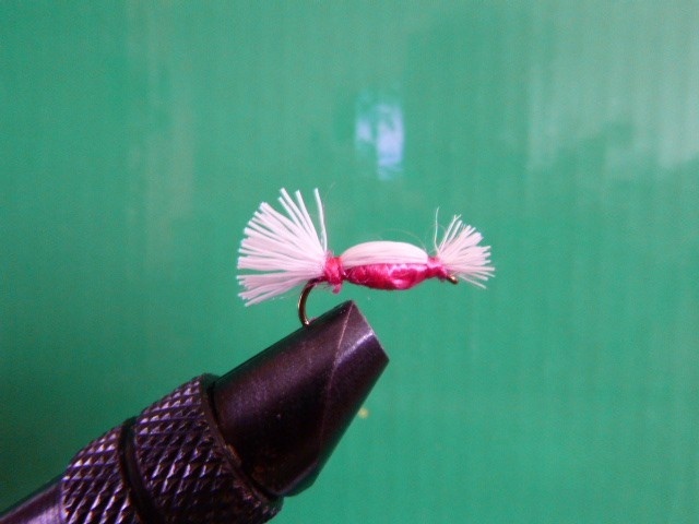Pink Doodle Bug