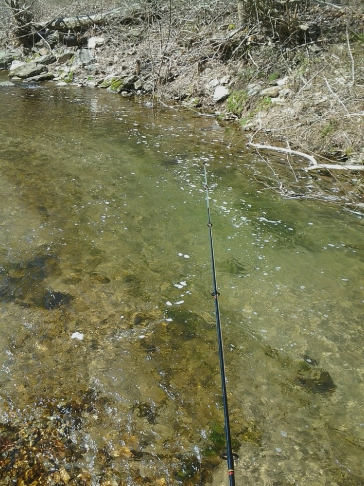 not fly fishing but opening trout season last year