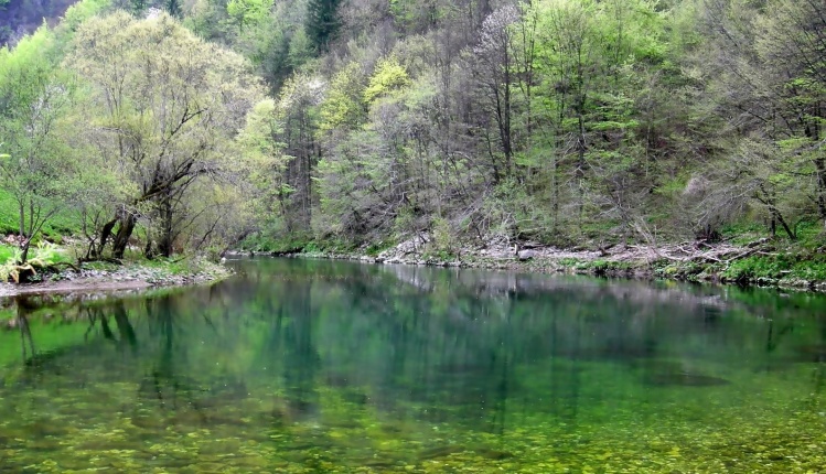 Early September in Slovenia - Idrijca River