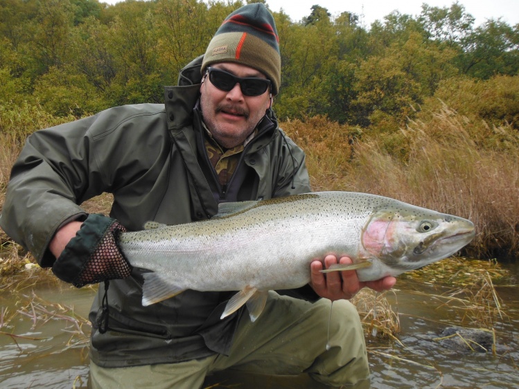 This is a Alaskan trout not a Steelhead